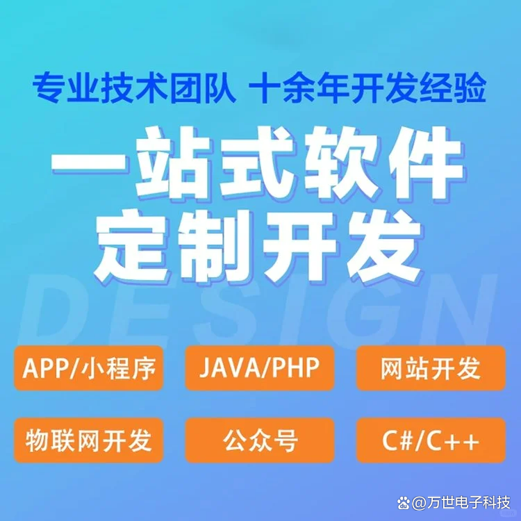 塔城软件开发